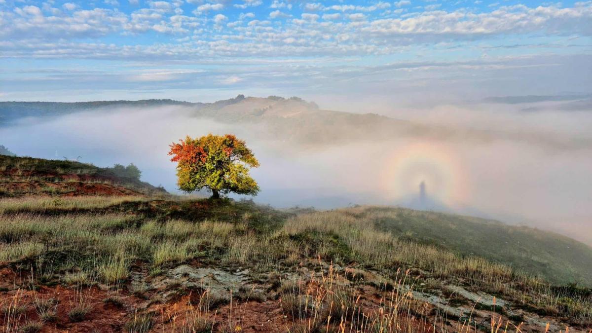 fenomenul gloria surprins de un tanar pe un deal din salaj mi am luat aparatul si mi am incercat norocul cum se formeaza spectrul