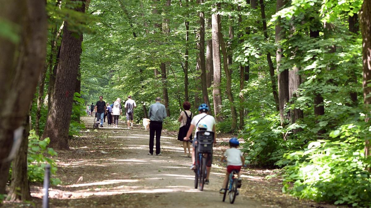 platforma impreuna pentru centura verde cere dianei buzoianu oprirea traficului auto in padurea baneasa