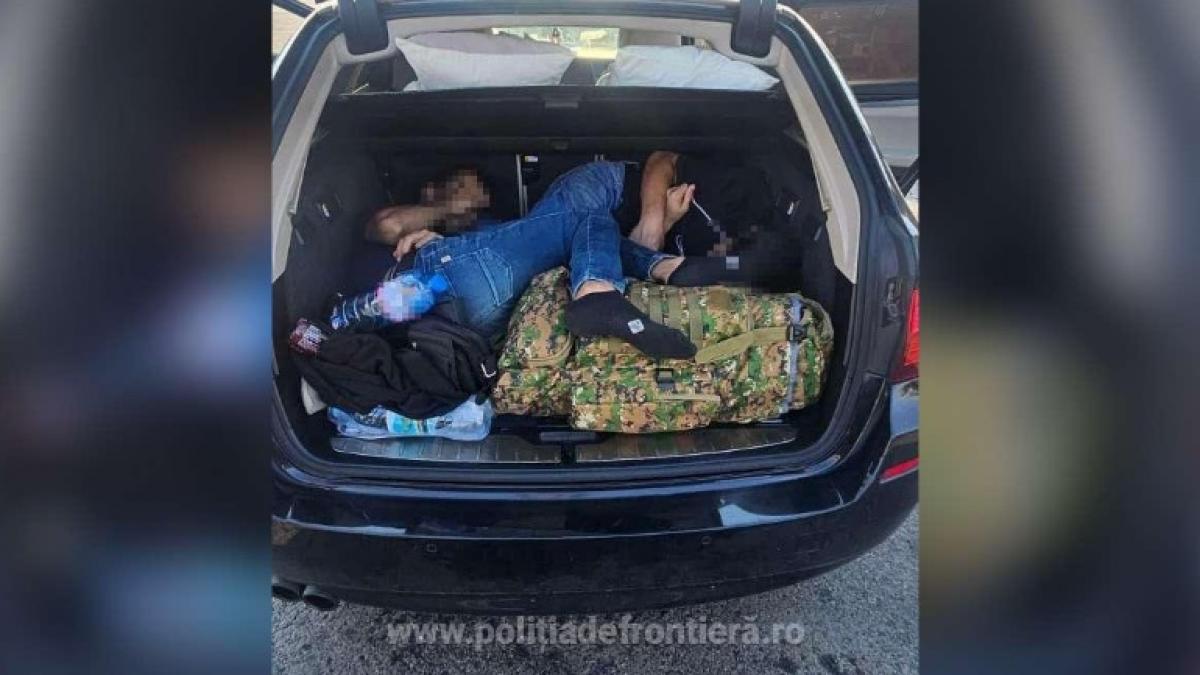 sofer belgian arestat preventiv dupa ce a vrut sa introduca in romania 5 migranti pe 2 dintre ei i a ascuns in portbagaj