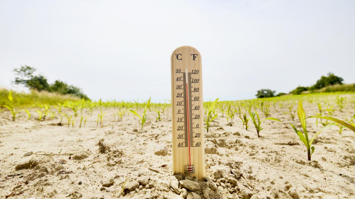 temperaturi greu de suportat in 10 judete vor fi pana la 34 de grade celsius meteorologii au emis avertizari cod galben de canicula