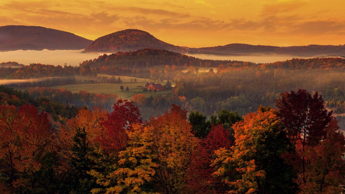 un sat idilic care se coloreaza in rosu si portocaliu se baricadeaza si blocheaza drumurile de ce s au revoltat cei 900 de localnici