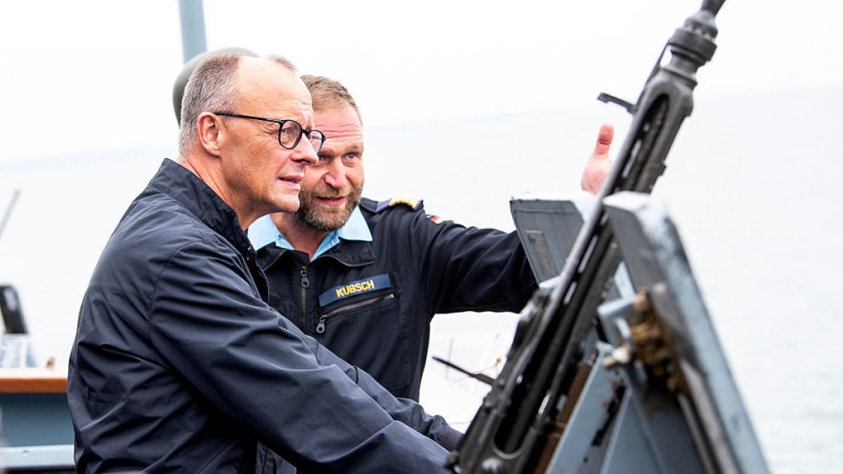 friedrich merz a impuscat o ursoaica polara si pe cei doi pui ai ei nu nu e adevarat e doar un nou fake al moscovei politico