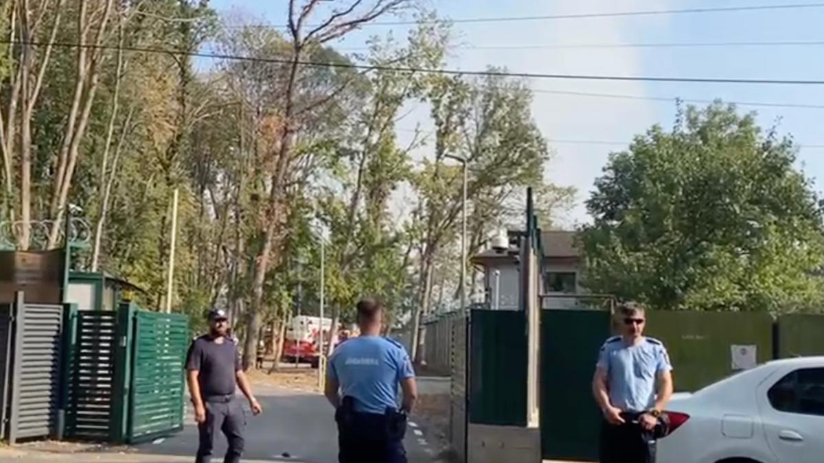 incendiu in gradina zoologica bucuresti isubif focul e extins pe 2 000 de metri patrati si arde cu degajari mari de fum