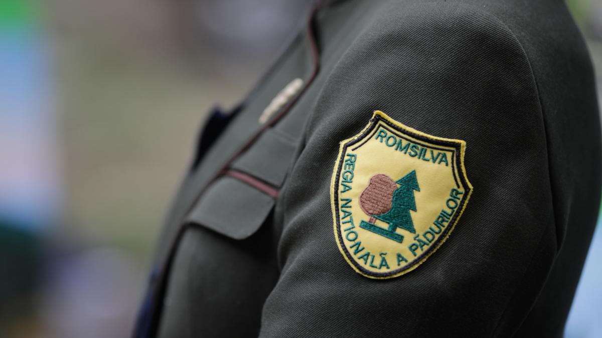 diana buzoianu spune ca in 30 de zile se vor cere avizele pentru reforma romsilva vine la pachet cu modificari substantiale pe lege