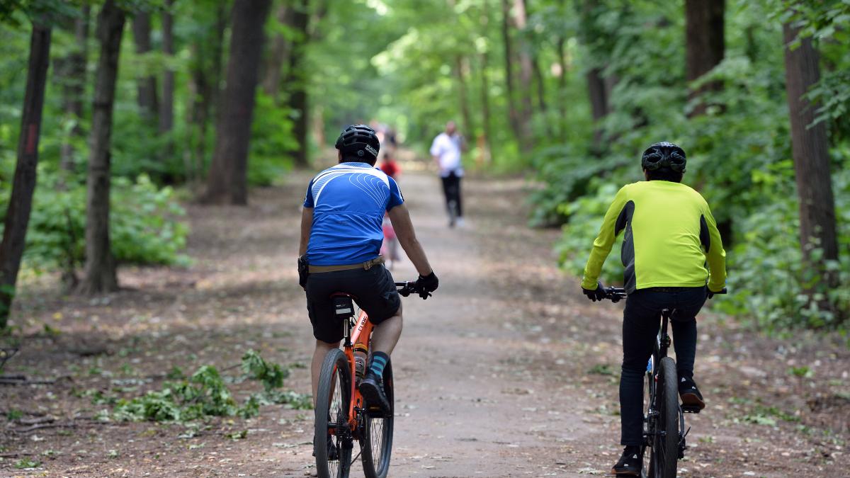 padurea baneasa trebuie sa fie arie protejata de interes national buzoianu bucurestiul se va transforma intr un cuptor cu microunde