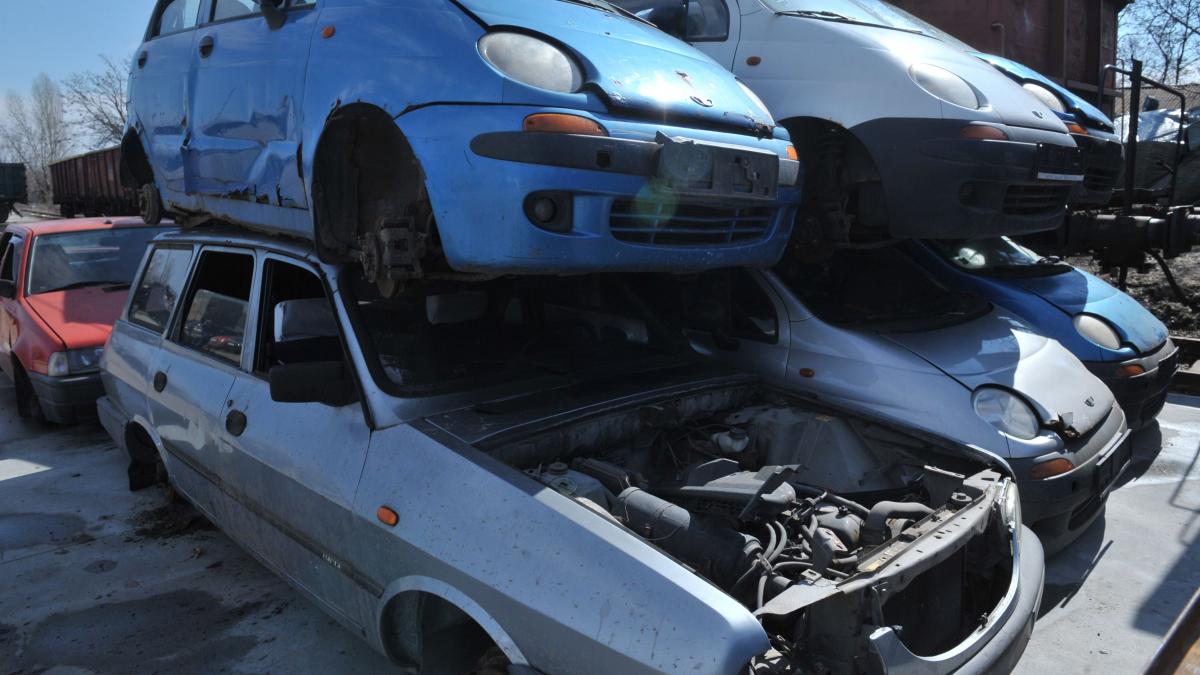 programul rabla incepe vineri diana buzoianu am reusit sa il salvam a fost o mobilizare destul de mare