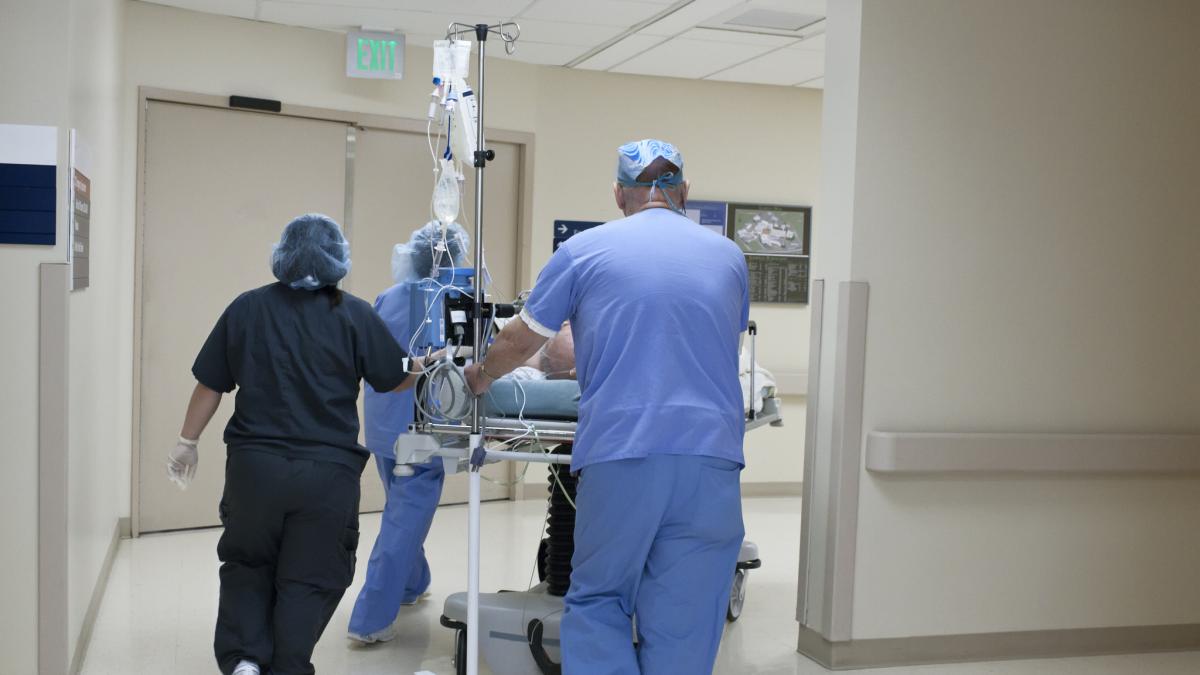 alerta in spitalele din europa din cauza ciupercii candida auris cele mai multe cazuri raportate in 5 tari printre care si romania