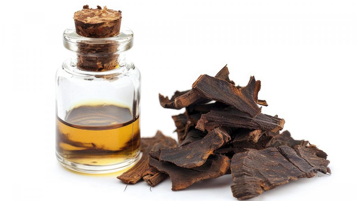 oud ul cel mai prezent ingredient in parfumurile arabesti pentru barbati descopera principalele 3 motive