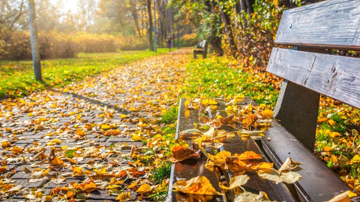 prognoza meteo pentru urmatoarele patru saptamani cum va fi vremea pana la jumatatea lunii octombrie