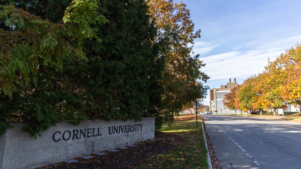 scandal la o universitate din sua doi studenti americani au vanat un urs si l au jupuit in campus