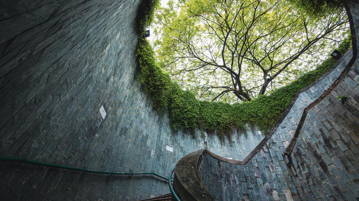 capitularea singaporelui cel mai grav dezastru al marii britanii cum ocupatia imperiului britanic a modelat o intreaga natiune