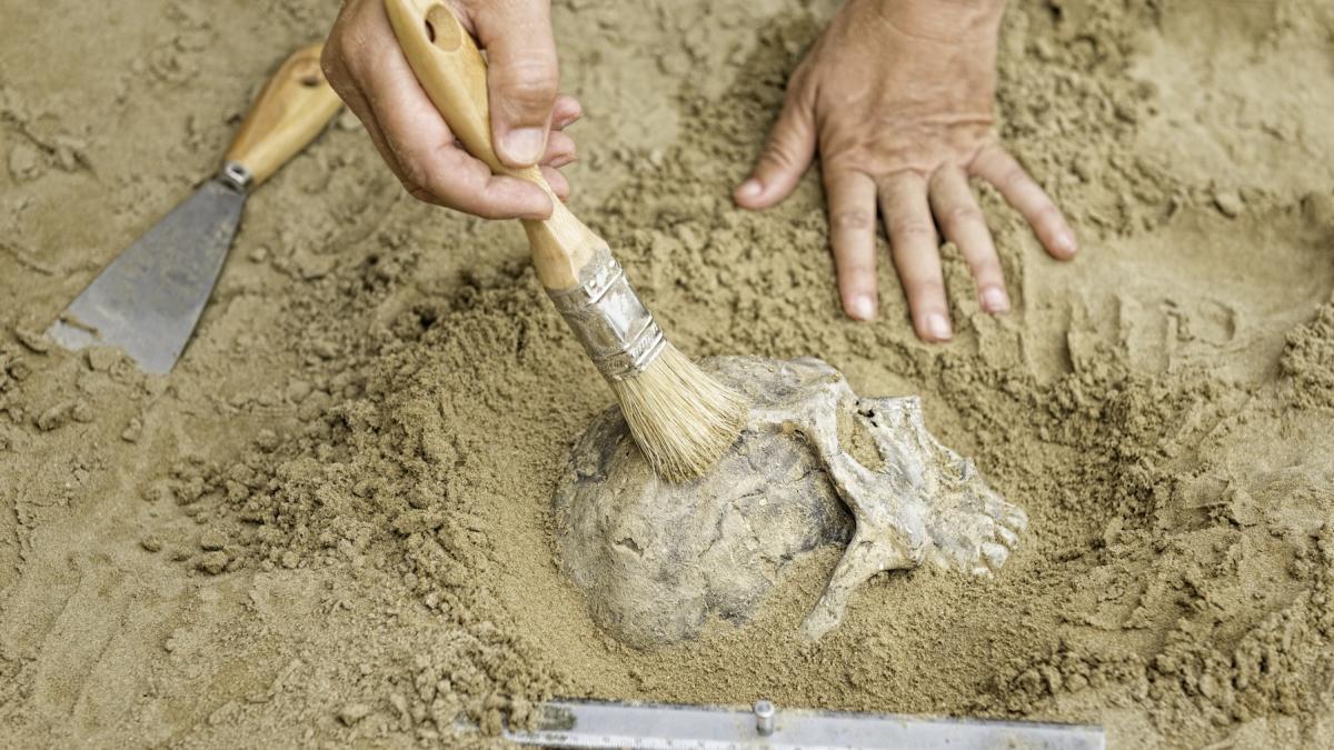 descoperire uluitoare la londra un schelet incaltat cu cizme de piele intacte vechi de 500 de ani