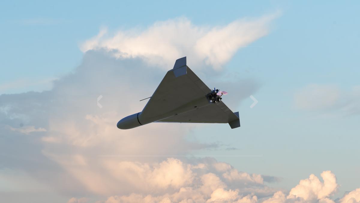 dronă kamikaze shahed