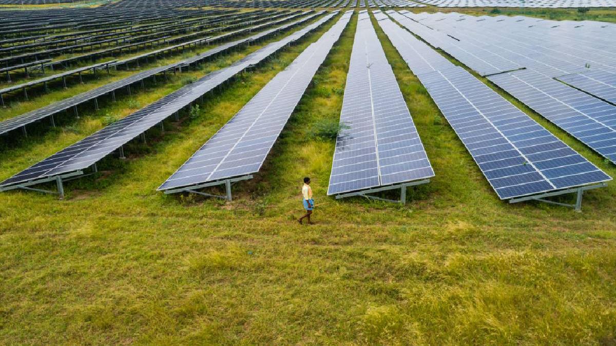 urla la noi sa muncim mai mult si mai repede si ne ameninta ca ne omoara de ce fug muncitorii de cel mai mare parc solar din lume