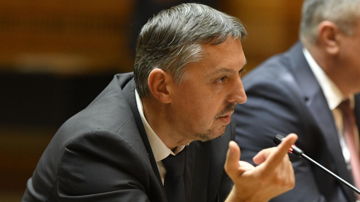 bolojan l a aparat pe daniel david la motiunea simpla nu mai puteam continua asa pentru ca intram intr o fundatura