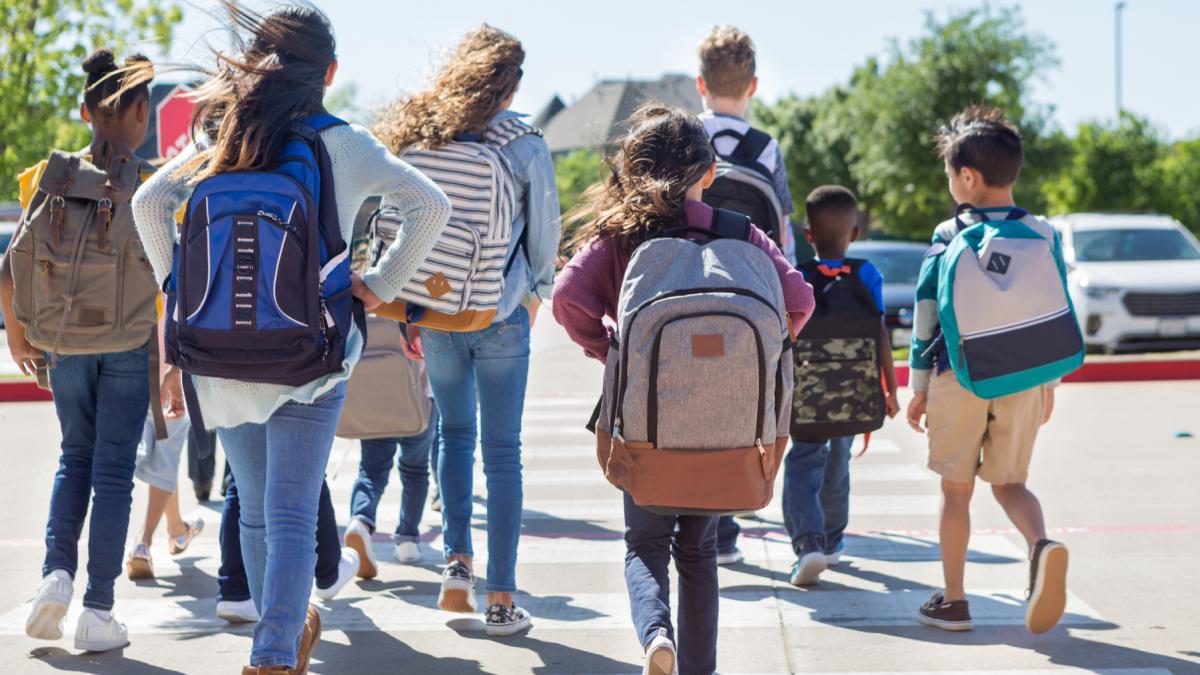 intr un oras mare din romania elevii sunt condusi de politisti la scoala autoritatile vor ca parintii sa nu i mai transporte cu masina