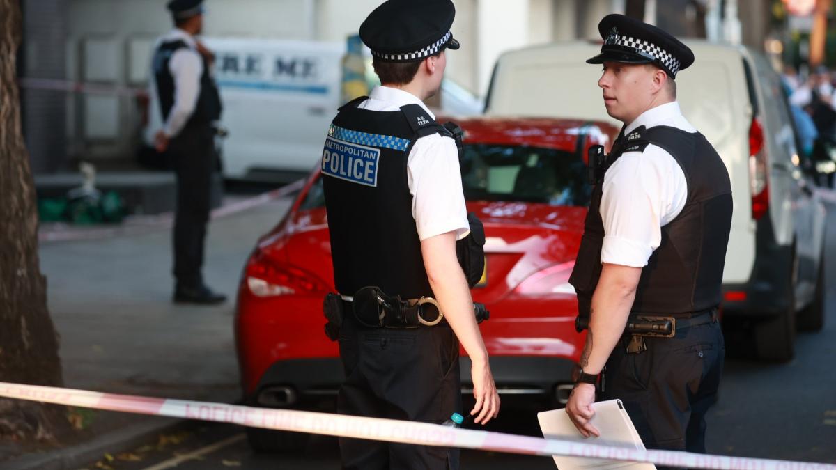 politia britanica a acuzat un barbat cu nume romanesc ca ar fi comis acte de vandalism in londra ce motivatii ar fi avut suspectul