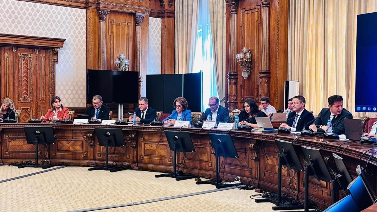 nicoleta pauliuc si gabriela horga propun ca pacientii oncologici sa isi poata retrage integral banii din fondurile private de pensii