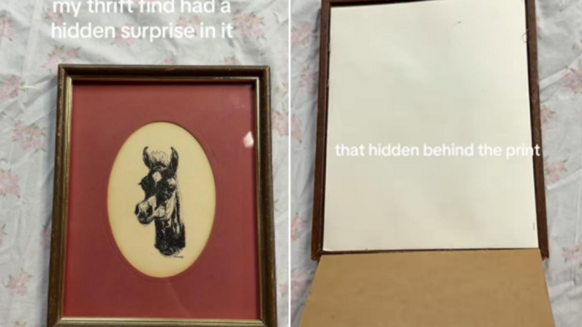 o femeie care a cumparat un tablou dintr un second hand a descoperit ceva senzational in interior