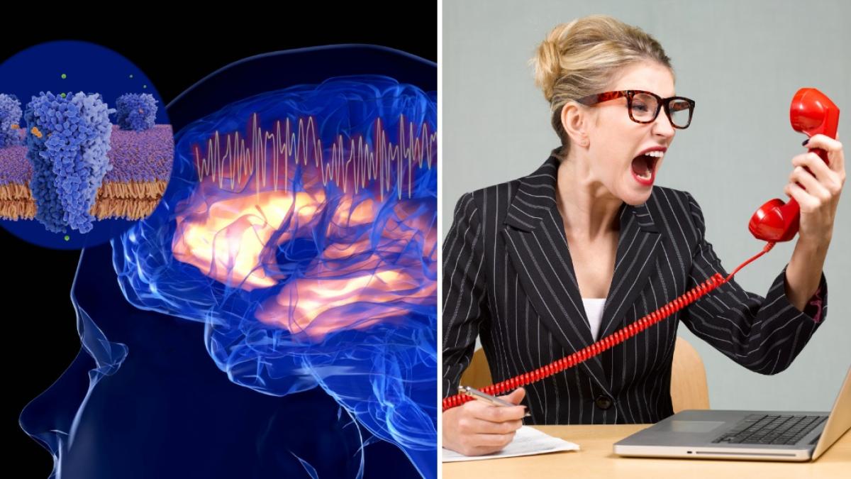 tot mai multi tineri afectati de boli neurodegenerative stresul multitasking ul si alimentatia nesanatoasa cauze majore