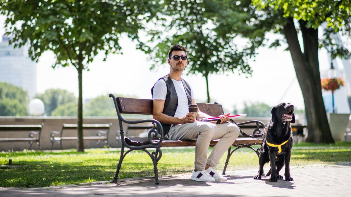 un proiect din italia da sansa persoanelor nevazatoare sa mearga la discoteca insotite de caini ghid