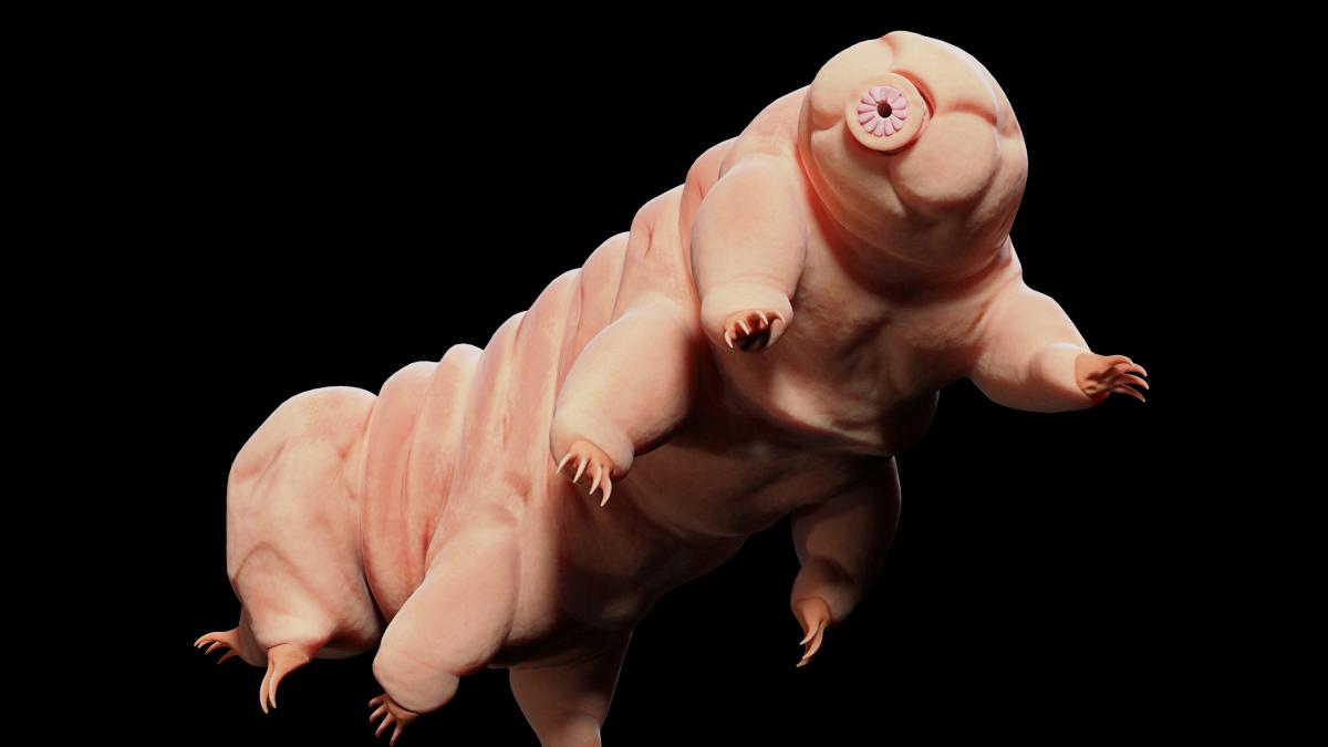 GettyImages-1184975057