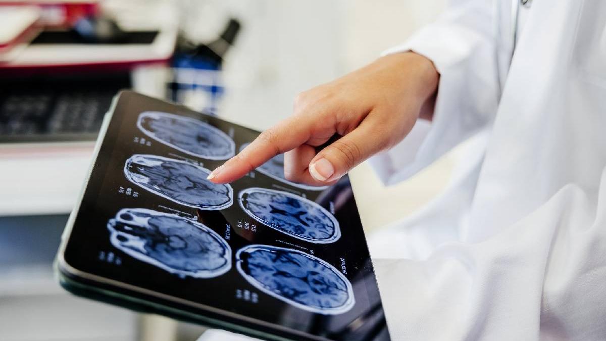 creierul are un contor de kilometri descoperirea care explica orientarea in spatiu