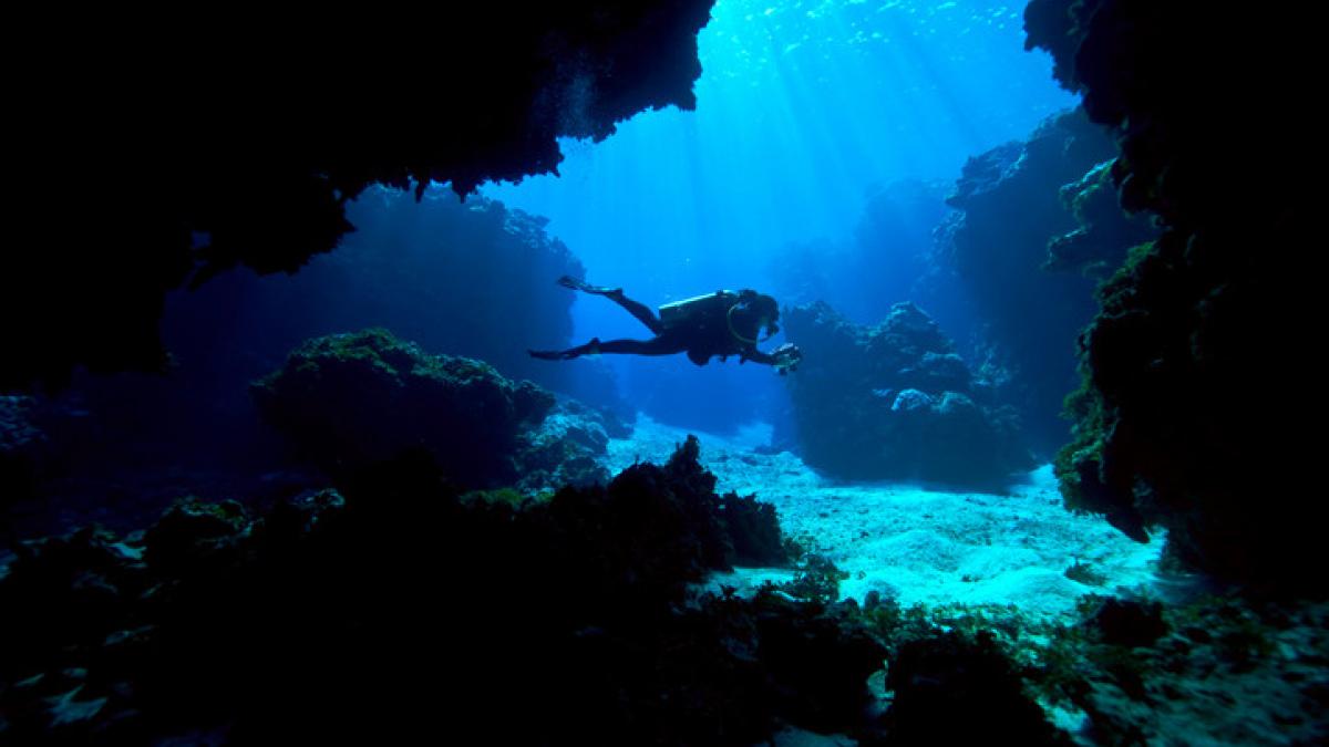 oamenii de stiinta au plecat dupa apa dulce in adancurile oceanului atlantic ce au gasit acolo poate schimba lumea cu totul