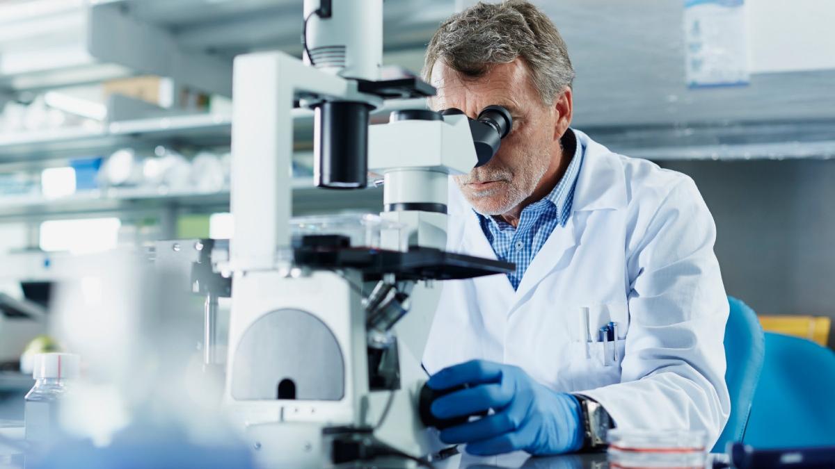 sua vor impune o taxa anuala de 100 000 de dolari pentru vizele angajatilor inalt calificati nu mai aduceti straini sa munceasca