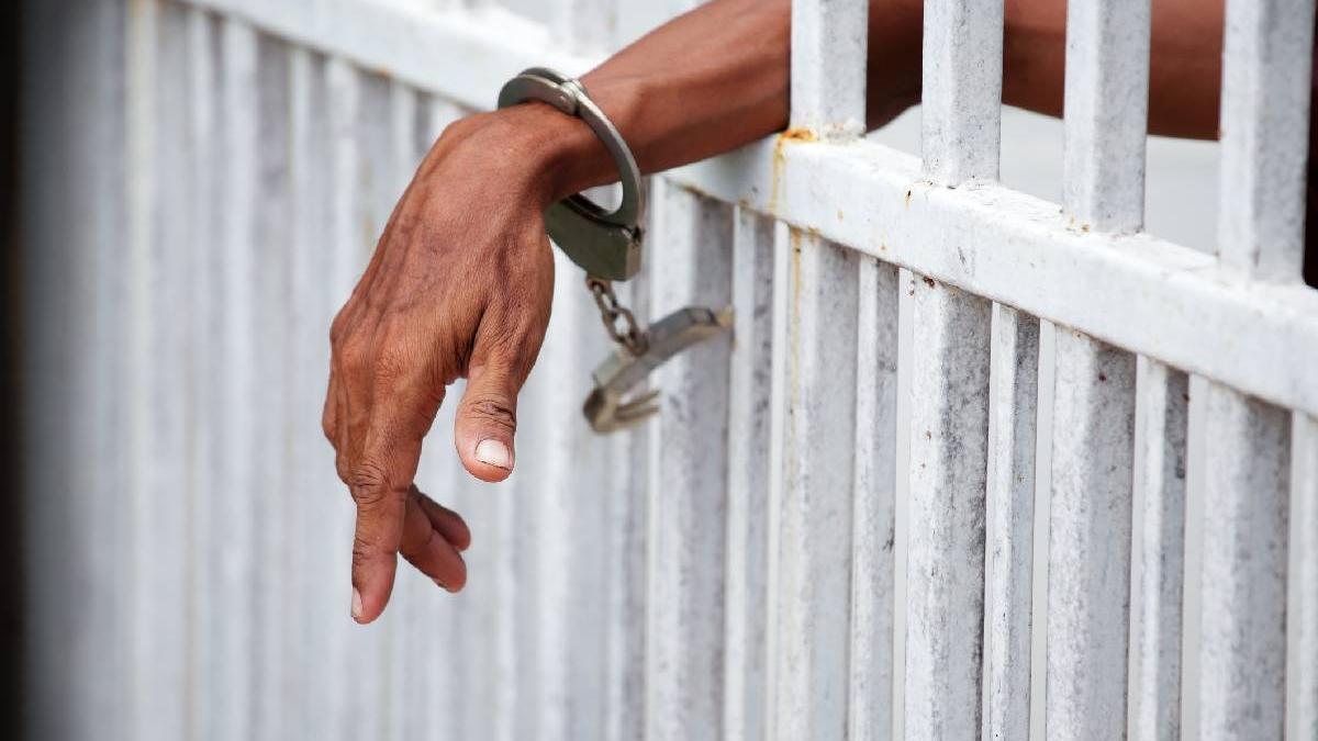 carbunele din lemn de marabu si trabucurile de lux ale europei sunt facute de zeci de mii de detinuti din cuba transformati in sclavi