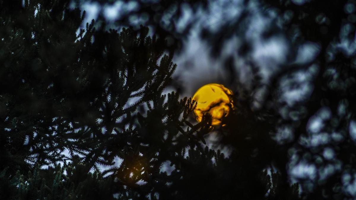 echinoctiul de toamna 2025 ce inseamna si ce se intampla la ora 21 19 pe 22 septembrie