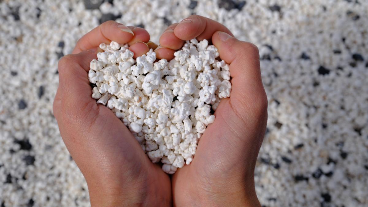 pe plaja popcorn nu stai pe sezlong si nu mergi sa faci baie dincolo de imaginile ireale exista o explicatie pentru nisipul bizar