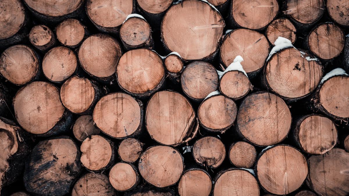 veste proasta pentru romanii care se incalzesc cu lemne preturile au explodat