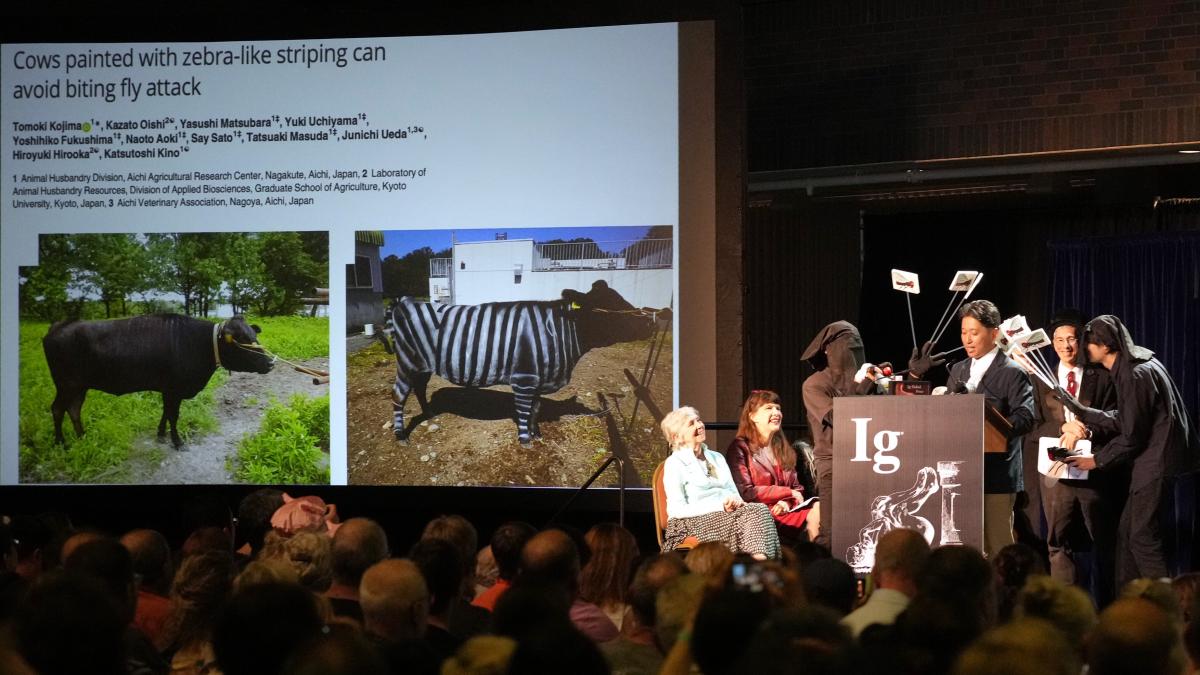 de la vaci vopsite ca zebre la soparle care mananca pizza cele mai trasnite cercetari premiate la ig nobel