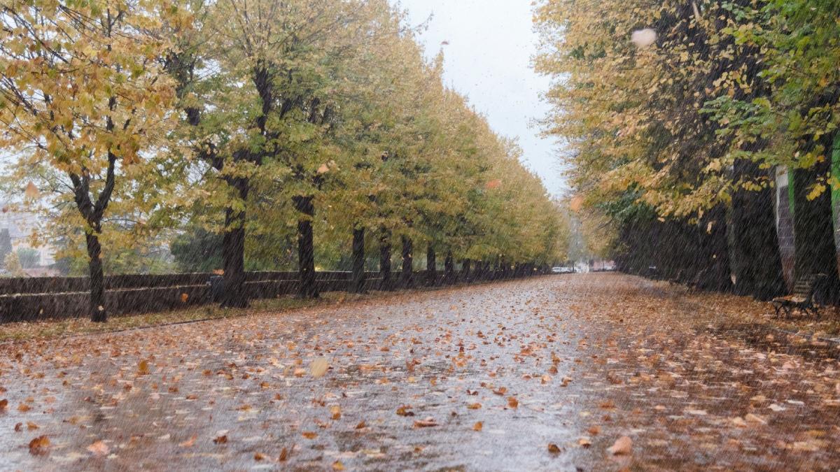 temperaturile vor scadea in toata tara anm anunta de cand revin ploile prognoza meteo actualizata pentru urmatoarele doua saptamani