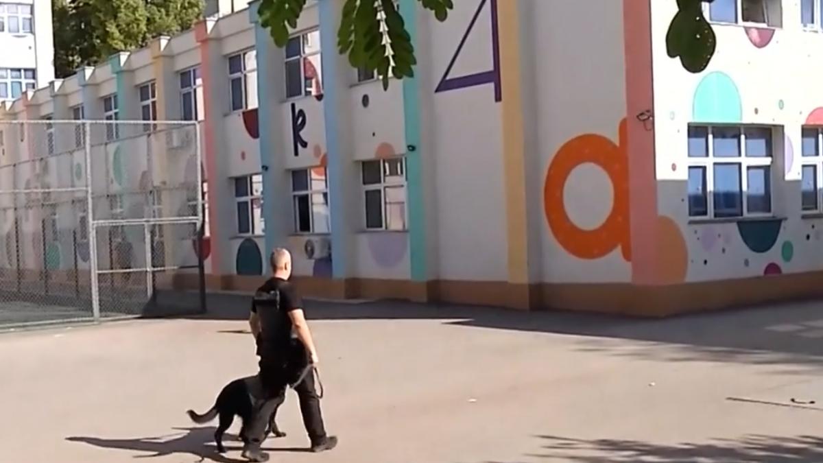 cine e baiatul de 17 ani ridicat de politie in dosarul mesajelor de amenintare acum 2 ani sua au cerut extradarea lui pentru terorism