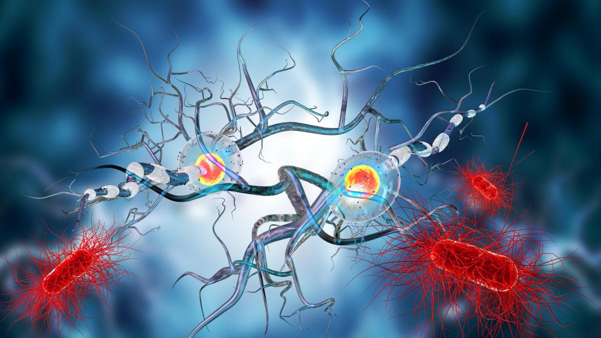 s a gasit tratament pentru una dintre cele mai devastatoare boli e numita ucigasul de neuroni primele simptome apar la 30 40 de ani