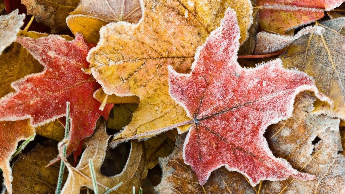 schimbare majora a vremii in romania se raceste brusc si vine gerul temperaturile scad chiar si cu 15 grade de la o zi la alta