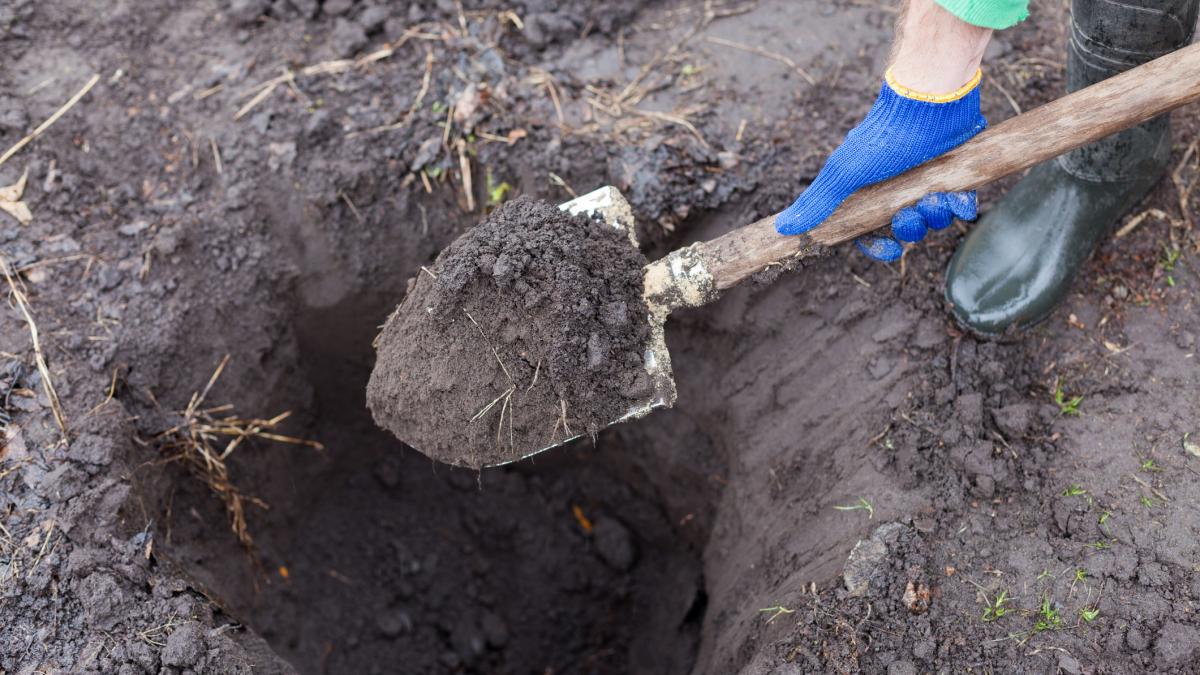 un muncitor in constructii a descoperit cu totul intamplator o comoara secreta ascunsa de 700 de ani in pamant
