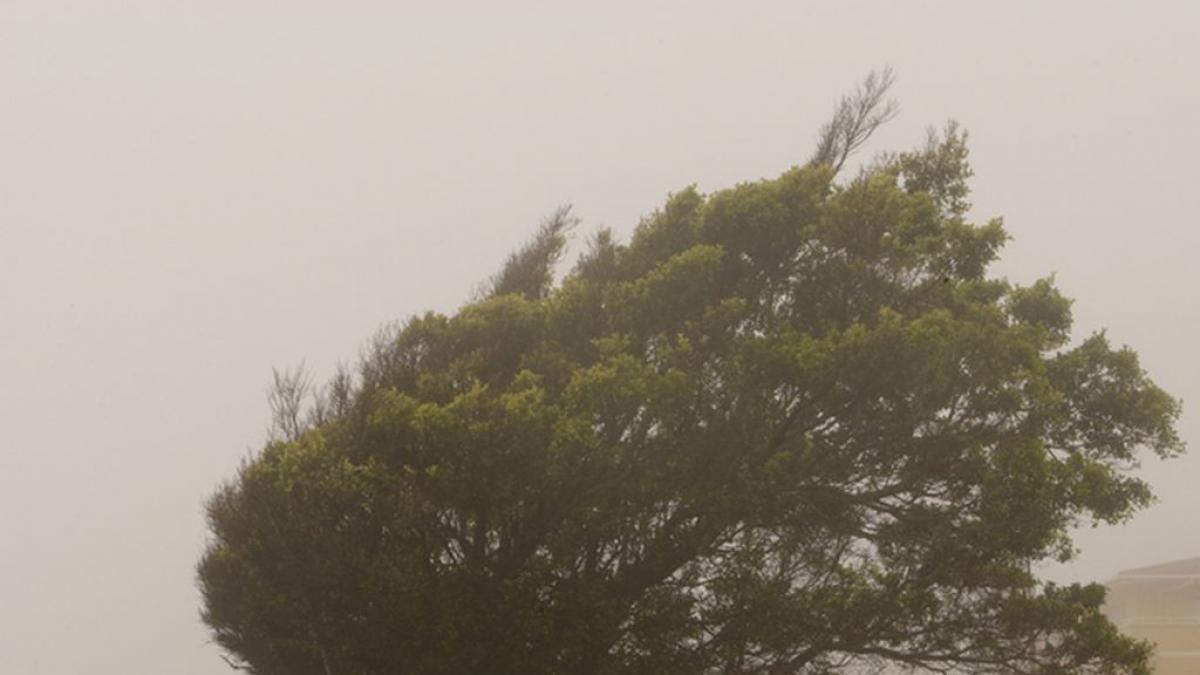 anm anunta o racire brusca a vremii si cod galben de vijelii pana vineri seara harta zonelor afectate