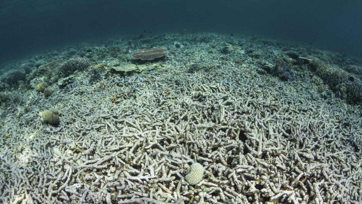 intram in era unor conditii periculoase sapte din noua limite planetare au fost depasite