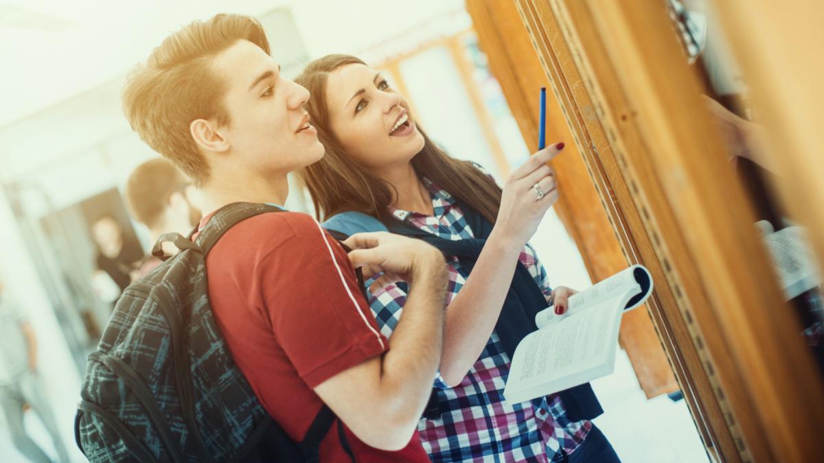 recompense in bani pentru elevii care au avut media zece la bacalaureat si evaluarea nationala in 2025 ce sume vor primi