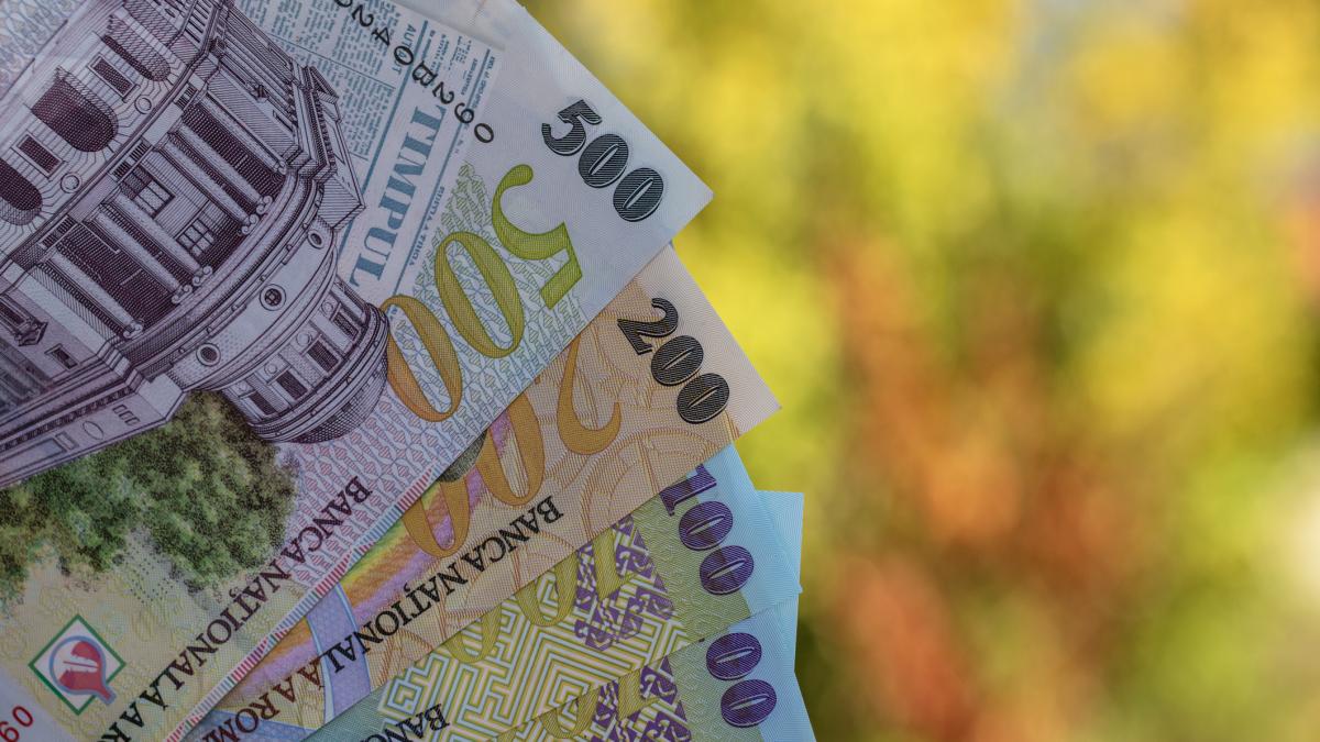 indicele robor la trei luni a scazut la 6 52 anunta bnr