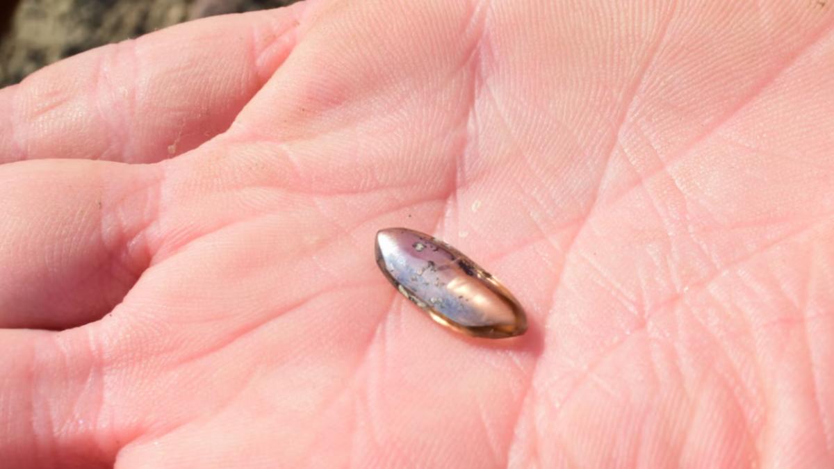 o femeie a gasit in parc o piatra ciudata care s a dovedit a fi un diamant extrem de valoros la inceput am crezut ca arata interesant