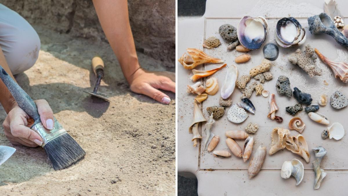 cel mai vechi atelier de bijuterii din scoici din europa a fost descoperit abia acum si a functionat in urma cu 42 000 de ani