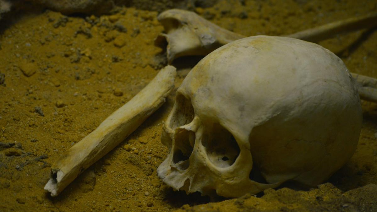 un cap mumificat de 350 de ani din bolivia nu este ceea ce parea de ce craniul bebelusilor era deformat inca de la nastere