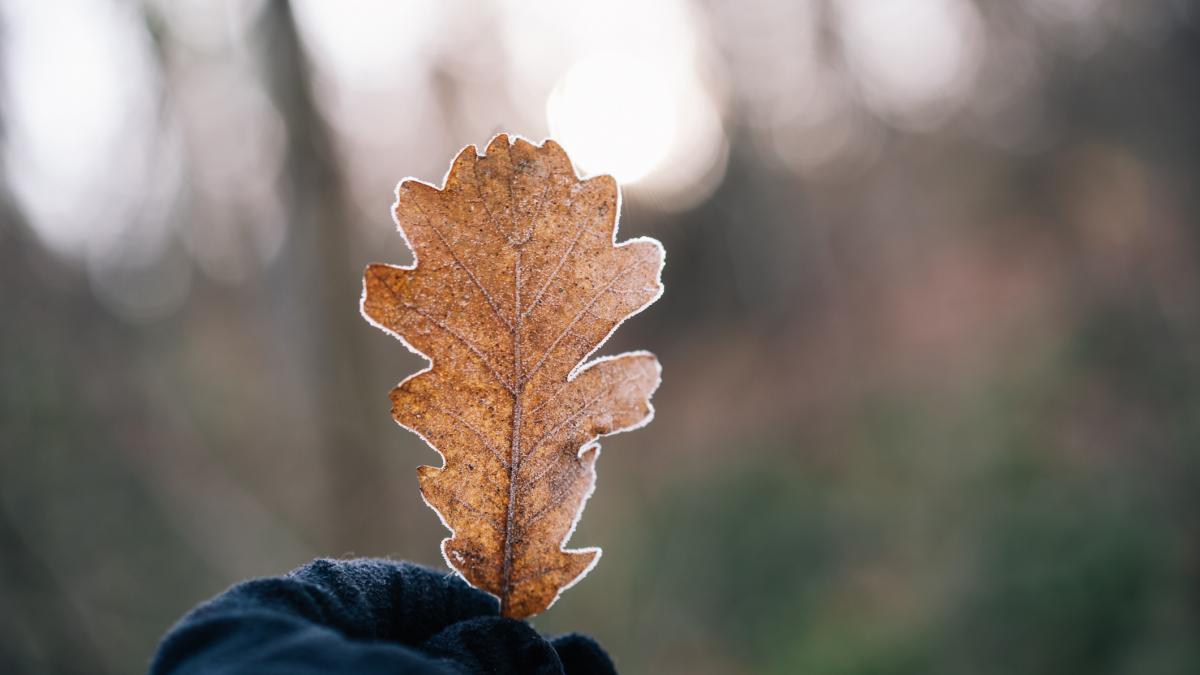 cea mai rece dimineata din septembrie au fost minus 6 4 grade celsius la miercurea ciuc