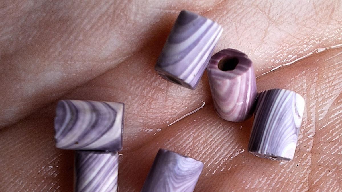 descoperire arheologica rara in colonia avalon un student a gasit fara sa stie o comoara sapte monede din scoici wampum