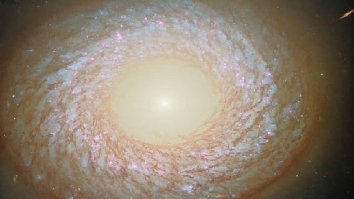 o enigma cosmica hubble a fotografiat o galaxie care sfideaza regulile astronomiei