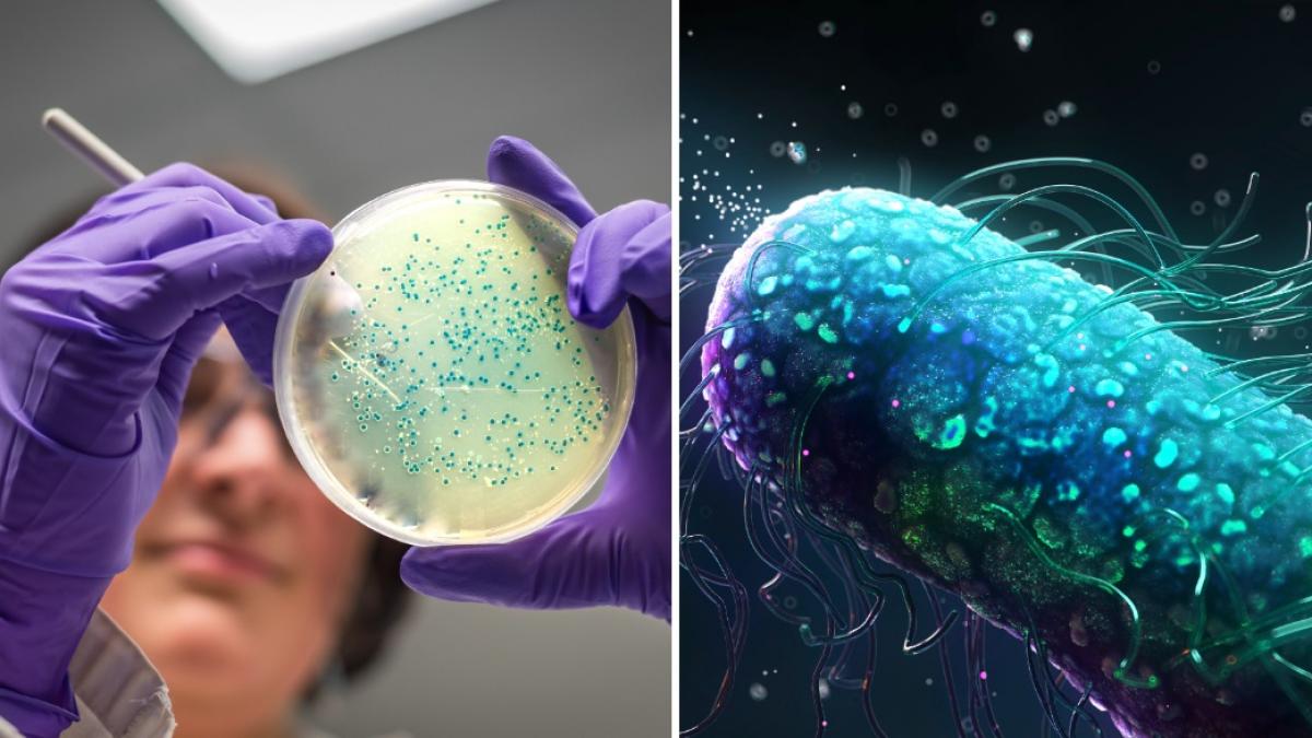 premiera in medicina cercetatorii au creat un cocktail de virusuri pentru a combate infectiile nosocomiale mortale